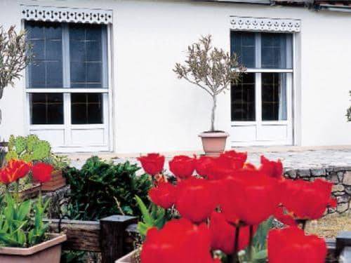 brise-soleil 22